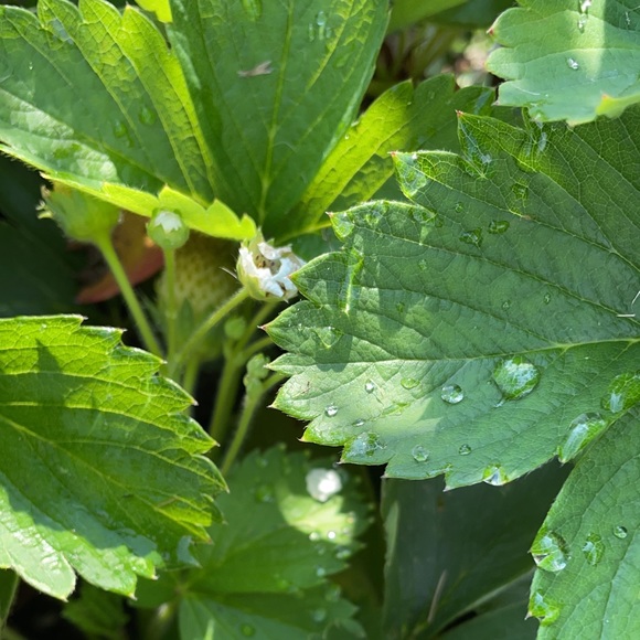 Meet your Posher, Katy - Picture 11 of 12